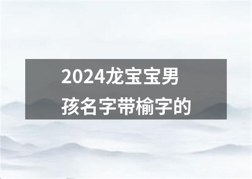 2024龙宝宝男孩名字带榆字的