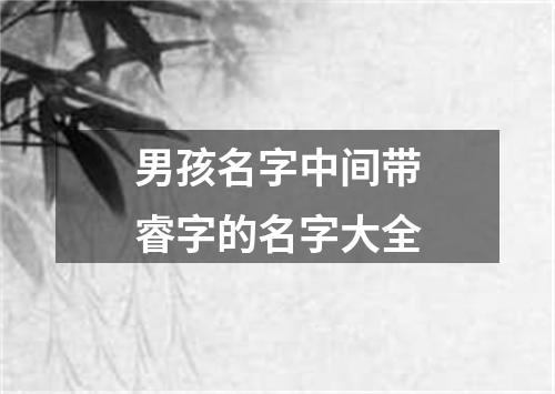 男孩名字中间带睿字的名字大全