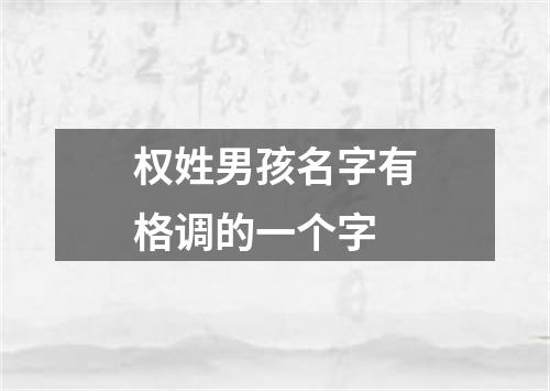 权姓男孩名字有格调的一个字