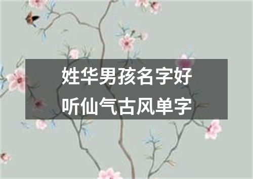 姓华男孩名字好听仙气古风单字