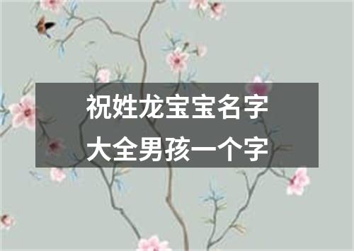 祝姓龙宝宝名字大全男孩一个字