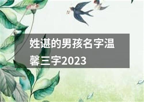 姓谌的男孩名字温馨三字2023