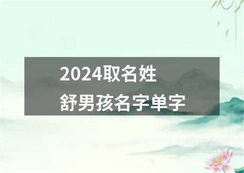 2024取名姓舒男孩名字单字