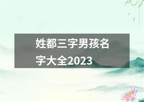 姓都三字男孩名字大全2023