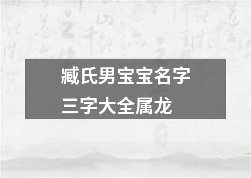 臧氏男宝宝名字三字大全属龙