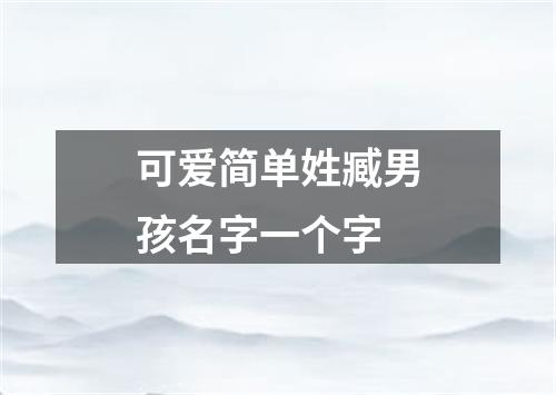 可爱简单姓臧男孩名字一个字