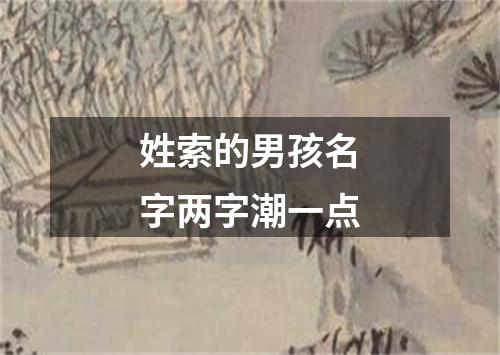 姓索的男孩名字两字潮一点