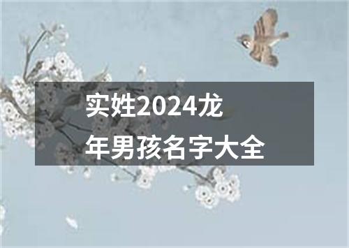 实姓2024龙年男孩名字大全