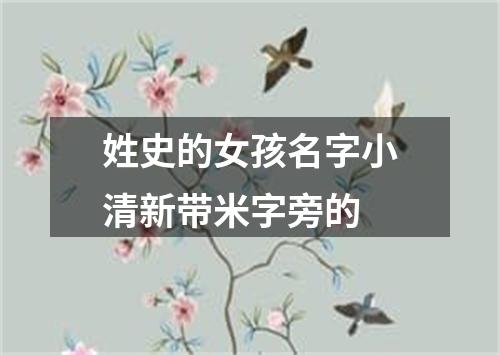 姓史的女孩名字小清新带米字旁的