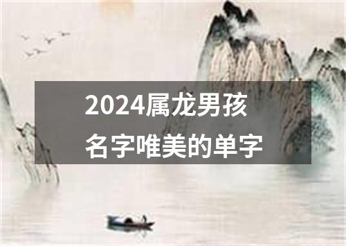 2024属龙男孩名字唯美的单字