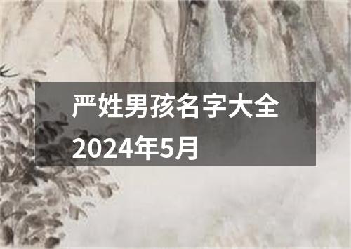 严姓男孩名字大全2024年5月