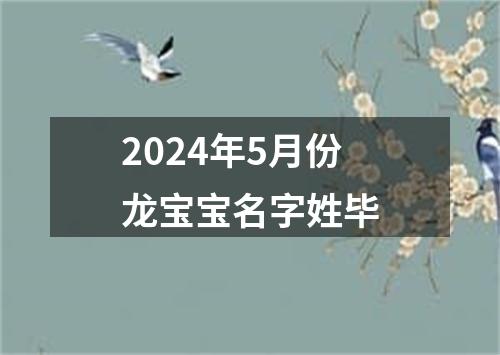 2024年5月份龙宝宝名字姓毕