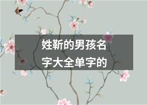 姓靳的男孩名字大全单字的