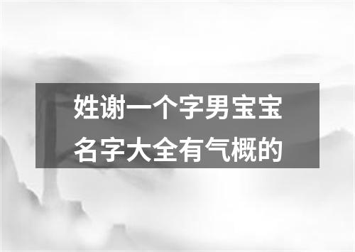 姓谢一个字男宝宝名字大全有气概的