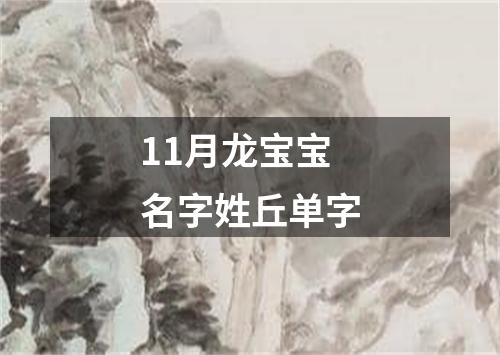 11月龙宝宝名字姓丘单字