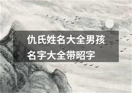 仇氏姓名大全男孩名字大全带昭字