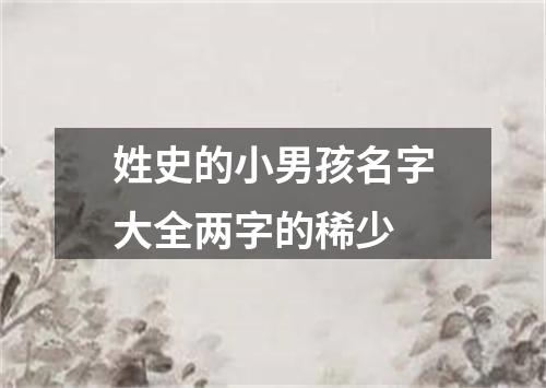 姓史的小男孩名字大全两字的稀少