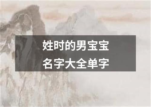 姓时的男宝宝名字大全单字