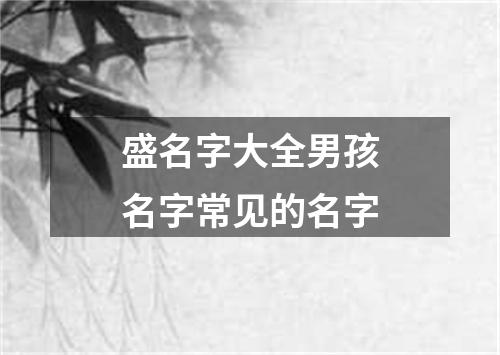 盛名字大全男孩名字常见的名字