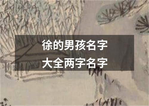 徐的男孩名字大全两字名字