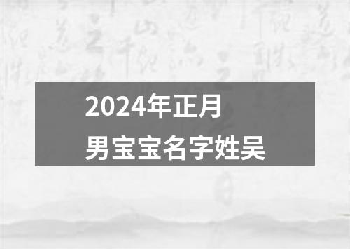 2024年正月男宝宝名字姓吴