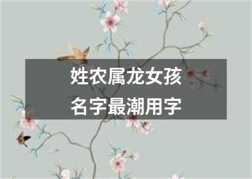 姓农属龙女孩名字最潮用字