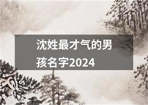 沈姓最才气的男孩名字2024