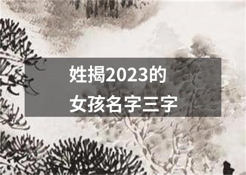 姓揭2023的女孩名字三字