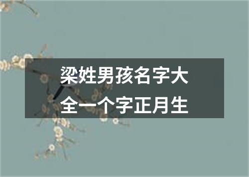 梁姓男孩名字大全一个字正月生