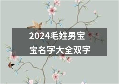 2024毛姓男宝宝名字大全双字