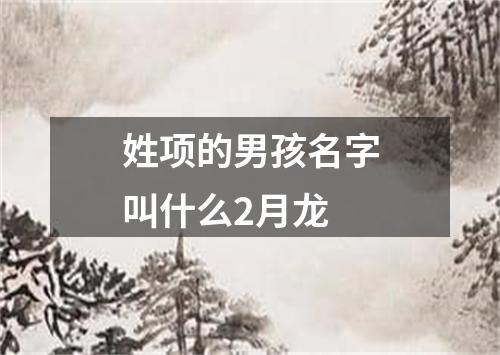 姓项的男孩名字叫什么2月龙