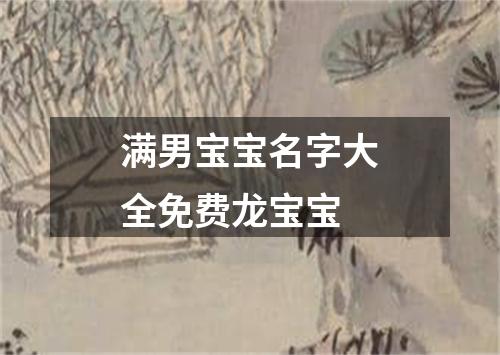 满男宝宝名字大全免费龙宝宝