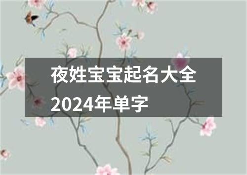 夜姓宝宝起名大全2024年单字