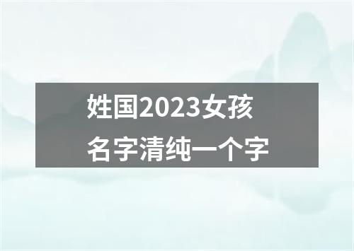 姓国2023女孩名字清纯一个字