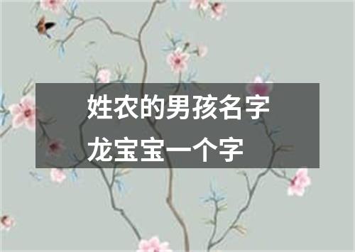 姓农的男孩名字龙宝宝一个字