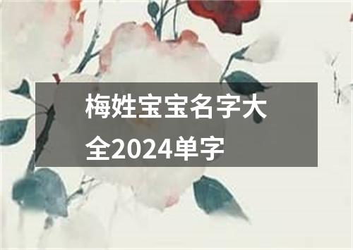 梅姓宝宝名字大全2024单字