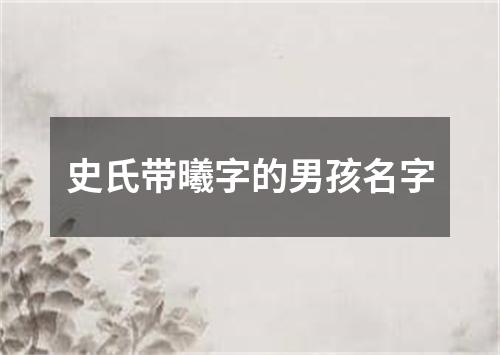 史氏带曦字的男孩名字