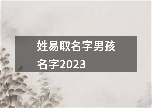 姓易取名字男孩名字2023