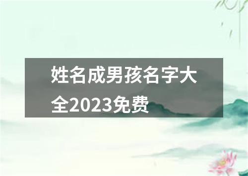 姓名成男孩名字大全2023免费