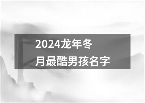 2024龙年冬月最酷男孩名字