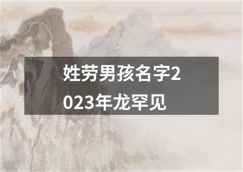 姓劳男孩名字2023年龙罕见