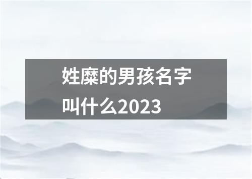 姓糜的男孩名字叫什么2023