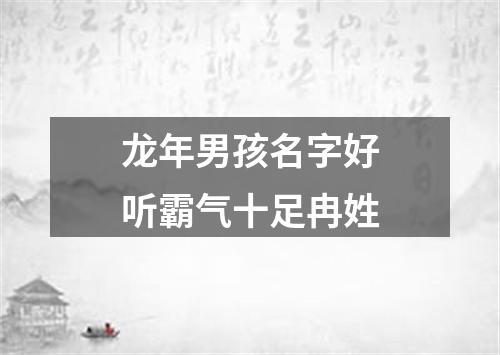 龙年男孩名字好听霸气十足冉姓