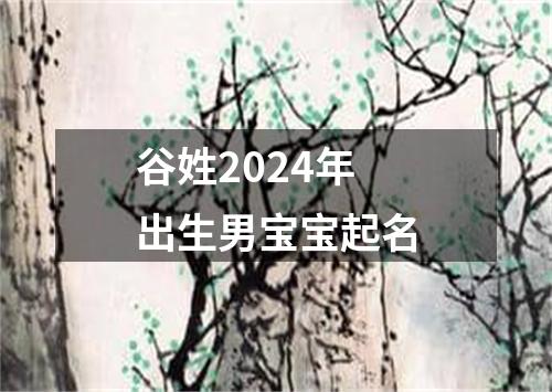 谷姓2024年出生男宝宝起名