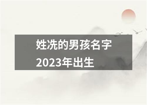 姓冼的男孩名字2023年出生