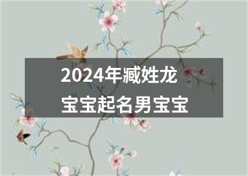 2024年臧姓龙宝宝起名男宝宝