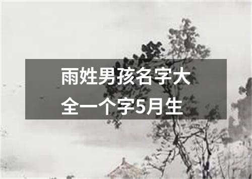 雨姓男孩名字大全一个字5月生