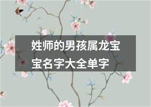 姓师的男孩属龙宝宝名字大全单字