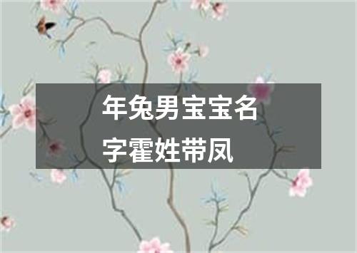 年兔男宝宝名字霍姓带凤