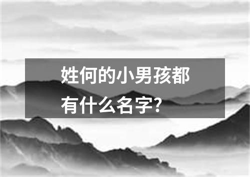 姓何的小男孩都有什么名字?